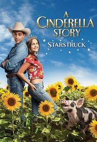 A Cinderella Story – Starstruck [Sub-Ita] Streaming