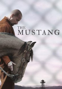 The Mustang Streaming 
ITA Streaming