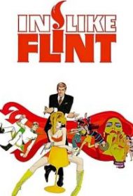 A noi piace Flint Streaming