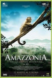 Amazzonia Streaming