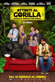 Attenti al gorilla Streaming