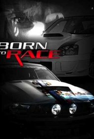 Born to Race [Sub-ITA] Streaming