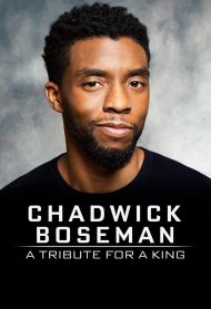 Chadwick Boseman – Tributo a un re [Sub-Ita] [CORTO] Streaming