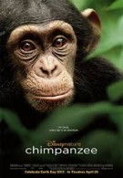 Chimpanzee Streaming