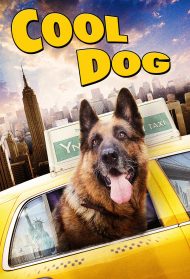 Cool dog – Rin Tin Tin a New York Streaming