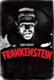 Frankenstein Streaming