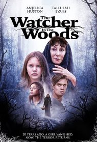 Il mistero di Aylwood House Streaming