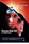 Karate Kid 3 – La sfida finale Streaming