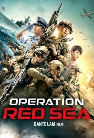 Operation Red Sea Streaming