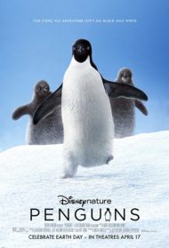 Penguins [Sub-Ita] Streaming