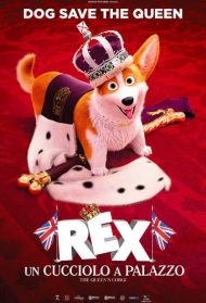 Rex – Un cucciolo a palazzo Streaming