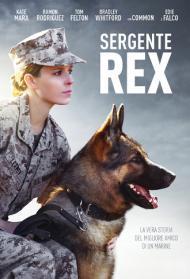 Sergente Rex Streaming