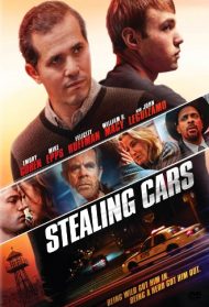 Stealing Cars Streaming