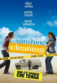 Sunshine Cleaning – Non c’è sporco che tenga Streaming