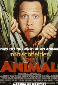 The Animal Streaming