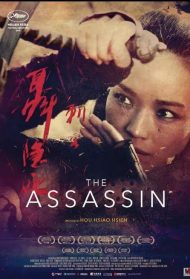 The Assassin Streaming