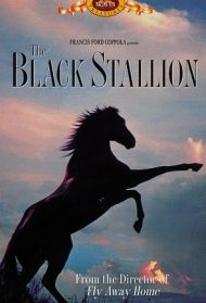 The Black Stallion Streaming