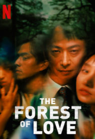 The Forest of Love [Sub-Ita] Streaming