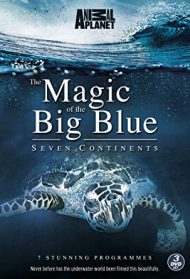 The magic of Big Blue – North America Streaming
