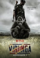 Virunga Streaming