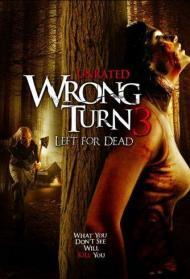 Wrong Turn 3: Left for Dead Streaming